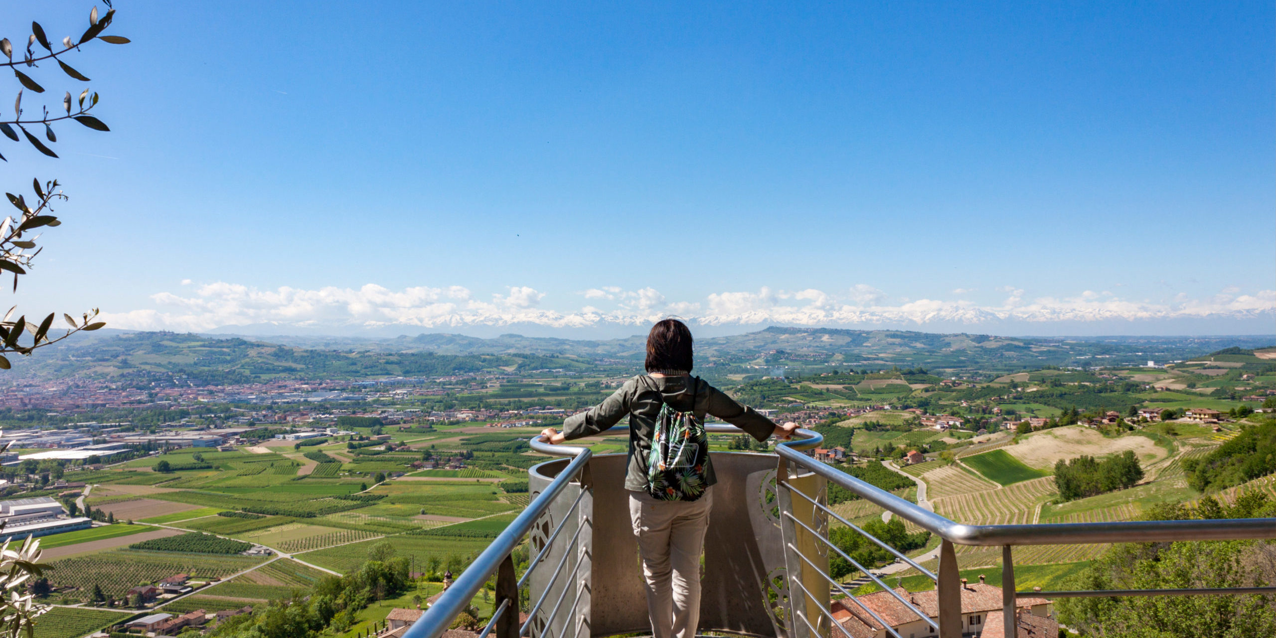 The splendid vineyards of Langhe and Monferrato, in the Italian
